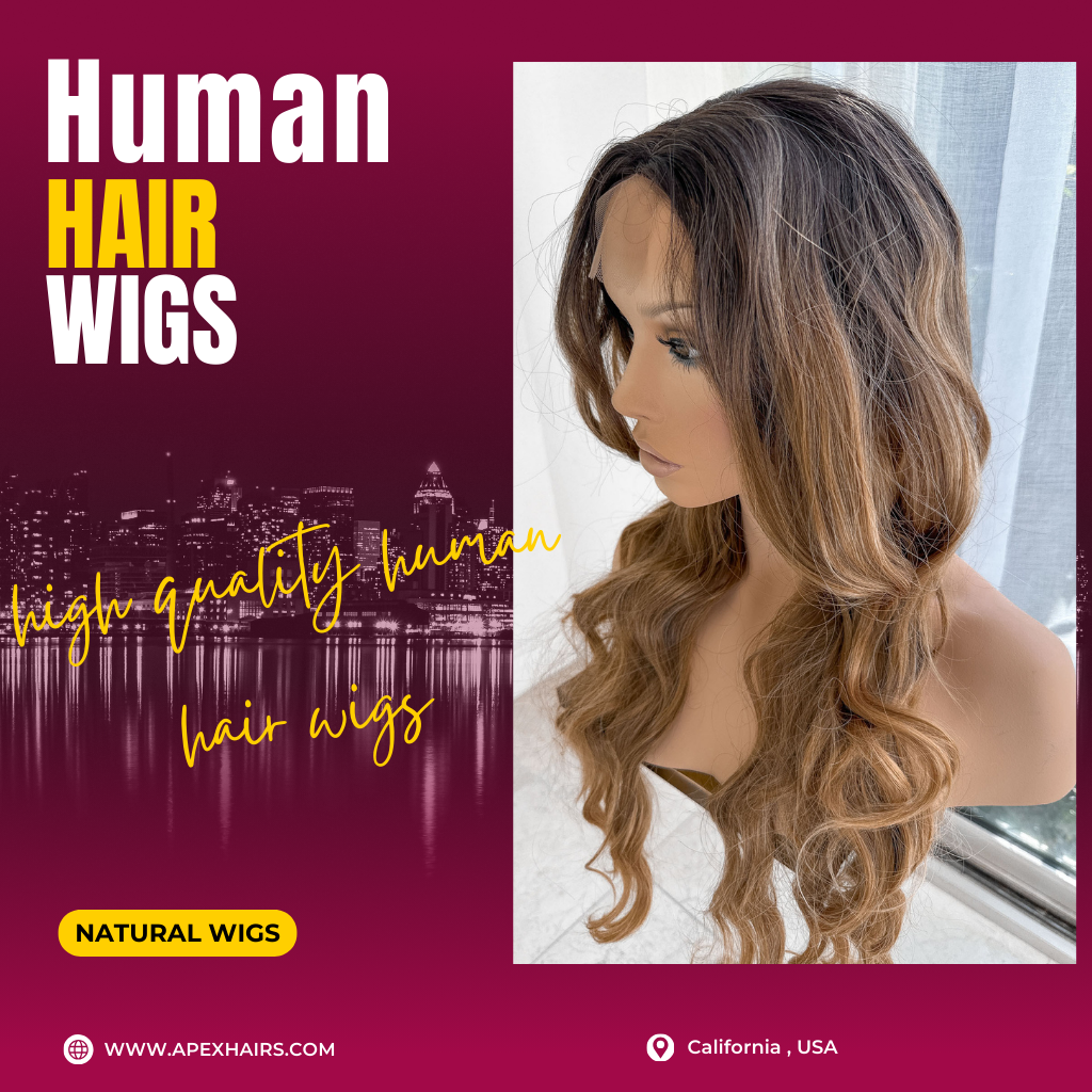 Human Hair Wigs